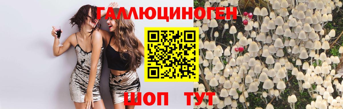 Галлюциногенные грибы мицелий  Вход с VPN  Можга 
